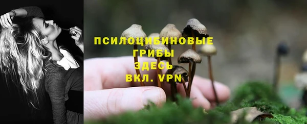 PSILOCYBIN Вязьма