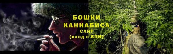 PSILOCYBIN Вязьма